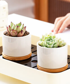 Self-Watering Planter Pot - 8 Inch with Water Level Indicator
