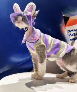 How to Train Your Dog for Off-Leash Hiking: Step-by-Step