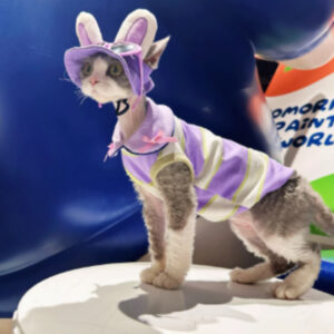 How to Train Your Dog for Off-Leash Hiking: Step-by-Step