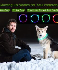 LED dog collar rechargeable waterproof